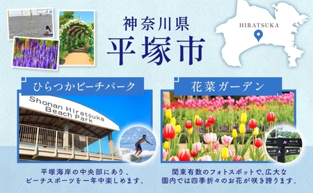 生チョコ チョコ チョコレート カカオ ベルギー産チョコ スイーツ 有名 ホームメイド湘南ショコラ ケーキ 蜂蜜 マーガリン バター 湘南 冷凍 くちどけ 濃厚贈り物 団らん みづほ野 神奈川県 平塚市