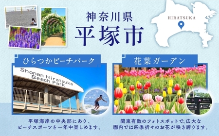 成城石井 リッチテイストブレンド 450g×3パック 珈琲 豆 コーヒー豆 コーヒー 珈琲豆 香り コク アラビカ種 プレゼント ギフト 送料無料 神奈川県 平塚市 【豆】