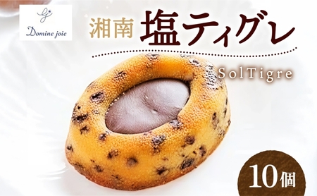 湘南塩ティグレ SolTigre 10個入り