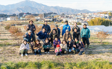 いかすの有機野菜（月1回10品お届け4回分） セット 詰合せ 冷蔵 