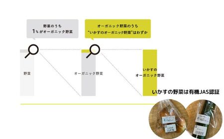 いかすの有機野菜（月1回10品お届け4回分） セット 詰合せ 冷蔵 