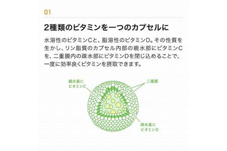 【12ヶ月定期便】【Lypo-C】リポ カプセル ビタミンC＋D（30包入） 1箱 | サプリ 健康 美容 サプリメント 人気