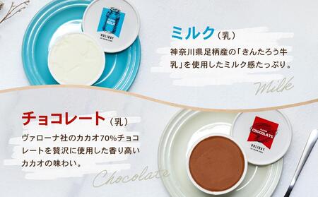 HOLIDAY ICE CREAM STORE CLASSICS クラフトアイスクリーム 132ml×6個セット