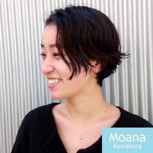 シルバーティアドロップノンホールピアス(イヤリング）＆ネックレス