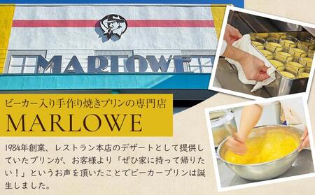 鎌倉ビーカー北海道フレッシュクリームプリン4個セット ｜ スイーツ デザート プリン ぷりん 贅沢 菓子 おかし クリーム 食品 人気 おすすめ セット 手作り 詰め合わせ 詰合せ 送料無料 鎌倉 神奈川 プリン