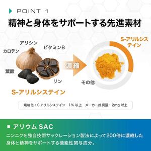 【バイオエリクサーV3】 疲労サポートサプリ|6袋・1080粒|アリウムSAC 植物由来ビタミン|ナイトプロテイン