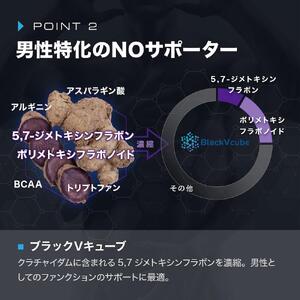 【ニトロキューブNOX】 NO系サプリ 4袋・360粒｜ブラックVキューブ オキシストーム｜ナイトプロテイン