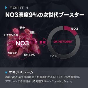 【ニトロキューブNOX】 NO系サプリ 6袋・540粒｜ブラックVキューブ オキシストーム｜ナイトプロテイン