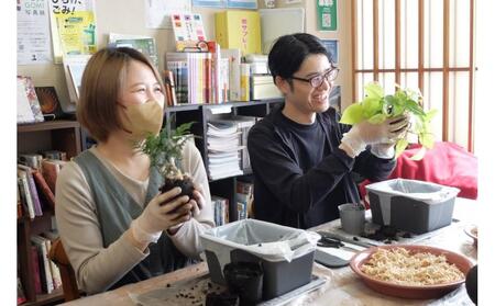 360度楽しめる!吊るせる観葉植物「ハングボール」作りワークショップ
