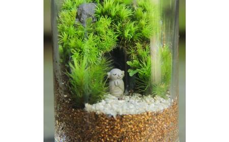 《苔テラリウム・コケリウム》鎌倉のやぐら地蔵＿シリンダーS