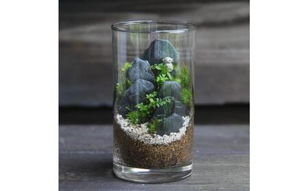 《苔テラリウム・コケリウム》地蔵S_山水図 シリンダーM