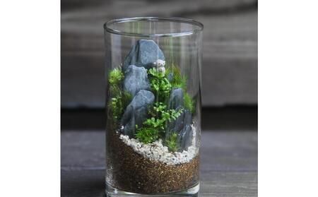 《苔テラリウム・コケリウム》地蔵S_山水図 シリンダーM