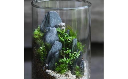 《苔テラリウム・コケリウム》地蔵S_山水図 シリンダーM