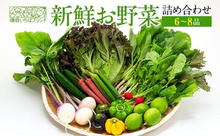 「鎌倉いちばブランド」新鮮お野菜詰め合わせセット  6～8品 ｜ 人気 野菜 詰合せ 詰め合わせ セット 新鮮野菜 詰め合わせセット 野菜セット 季節の野菜 鎌倉野菜 地元産 お取り寄せ おすすめ 送料無料 神奈川 鎌倉 新鮮