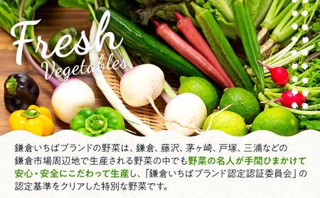 「鎌倉いちばブランド」新鮮お野菜詰め合わせセット  6～8品 ｜ 人気 野菜 詰合せ 詰め合わせ セット 新鮮野菜 詰め合わせセット 野菜セット 季節の野菜 鎌倉野菜 地元産 お取り寄せ おすすめ 送料無料 神奈川 鎌倉 新鮮