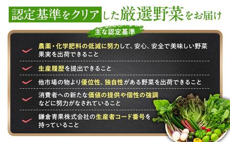 「鎌倉いちばブランド」新鮮お野菜詰め合わせセット  6～8品 ｜ 人気 野菜 詰合せ 詰め合わせ セット 新鮮野菜 詰め合わせセット 野菜セット 季節の野菜 鎌倉野菜 地元産 お取り寄せ おすすめ 送料無料 神奈川 鎌倉 新鮮
