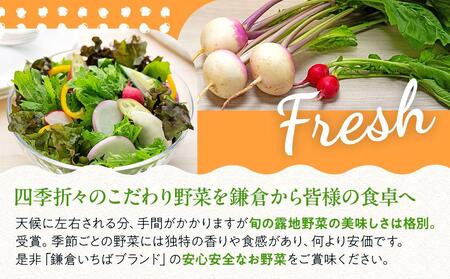 「鎌倉いちばブランド」新鮮お野菜詰め合わせセット  6～8品 ｜ 人気 野菜 詰合せ 詰め合わせ セット 新鮮野菜 詰め合わせセット 野菜セット 季節の野菜 鎌倉野菜 地元産 お取り寄せ おすすめ 送料無料 神奈川 鎌倉 新鮮