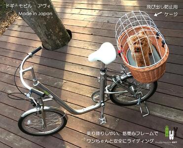 AWY (アヴィ) 20インチ 自転車