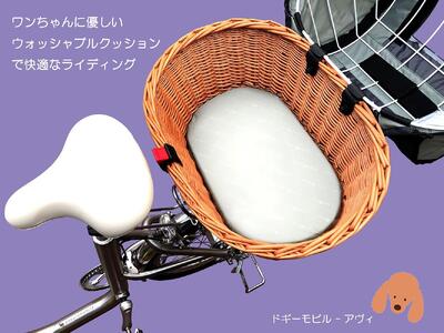 AWY (アヴィ) 20インチ 自転車