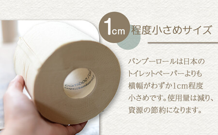 竹100％ トイレットペーパー ダブル 18ロール 幅100mm×長さ33m ｜ 無香料 無漂白 日用品 生活用品 消耗品 備蓄 個装無し ベージュ 送料無料 人気 おすすめ ふるさと納税 送料無料 神奈川 鎌倉市