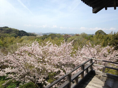 鎌倉 らい亭 2026年お正月用「おせち」