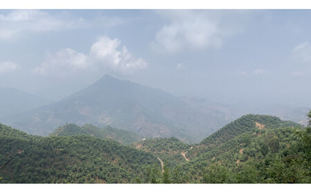 SINGLE ORIGIN (豆の状態)100g×5種類