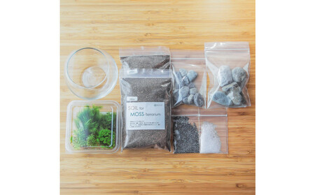【渓流編】苔テラリウム制作キット（ツール付き）