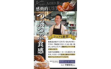 熟成 生マスタード 6個セット