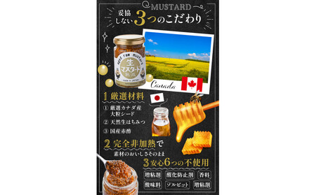 熟成 生マスタード 6個セット