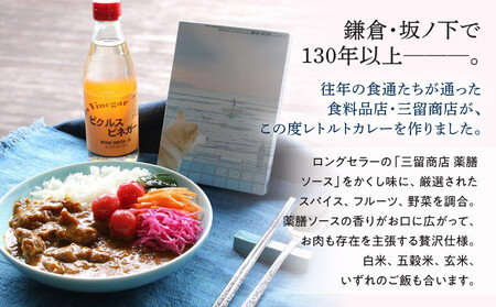 鎌倉薬膳カレー(レトルト)5個セット | カレー 薬膳 薬膳カレー 食品 レトルトカレー 中辛 常備食 人気 おすすめ 時短調理 ストック食品 簡単調理 家庭用 送料無料 神奈川 鎌倉 カレー