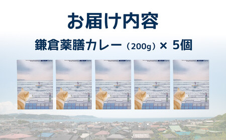 鎌倉薬膳カレー(レトルト)5個セット | カレー 薬膳 薬膳カレー 食品 レトルトカレー 中辛 常備食 人気 おすすめ 時短調理 ストック食品 簡単調理 家庭用 送料無料 神奈川 鎌倉 カレー