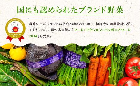 【６ヶ月連続毎月届く定期便】「鎌倉いちばブランド」新鮮お野菜詰め合わせセット | 人気 野菜 詰合せ 詰め合わせ セット 新鮮野菜 詰め合わせセット 野菜セット 季節の野菜 鎌倉野菜 地元産 お取り寄せ おすすめ 送料無料 神奈川 鎌倉 新鮮
