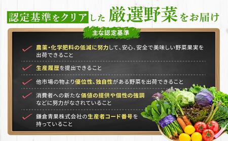 「鎌倉いちばブランド」新鮮お野菜詰め合わせセット