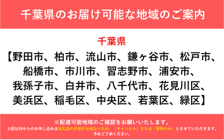 自転車 アーミーグリーン×オレンジ【20インチ 自転車】