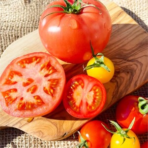 トマト 井出トマト農園 トマトのきらめき5種セット 1.9kg