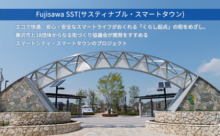 Fujisawa SST見学ツアー