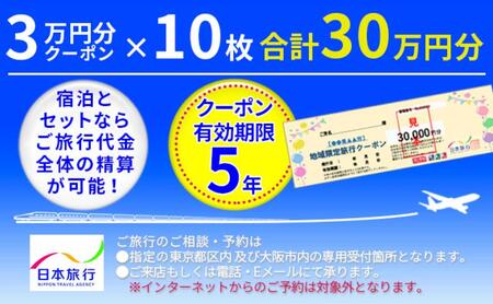 日本旅行　地域限定クーポン【300000円分】