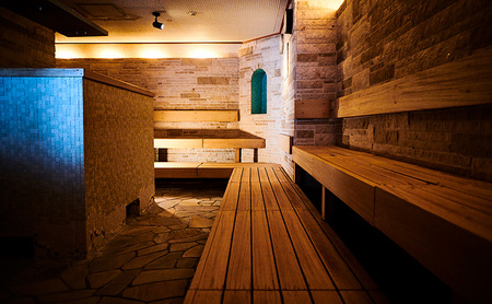 ワンデイスパ入館券 大人用 江の島アイランドスパ チケット