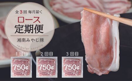【毎月定期便】ブランド豚肉 みやじ豚ロース750g しゃぶしゃぶ肉 すき焼き 鍋　全3回