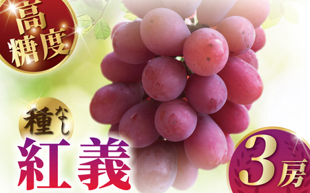 【2026年夏発送】 ぶどう 赤ブドウ 紅義 3房 ｜ ぶどう ぶどう