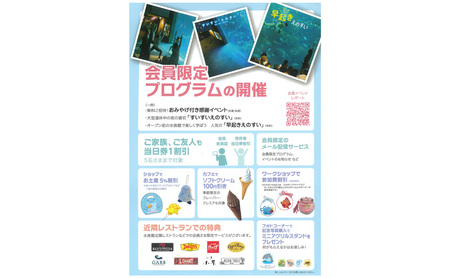 最新　すみだ水族館　年間パスポート引換券　2枚セット　送料無料 すみだ水族館 年間パスポート 引換券 2枚セット 送料84円 すみだ