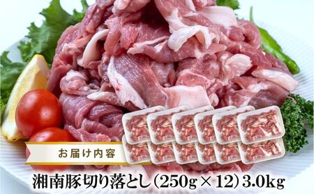 国産 豚肉 ブランド豚 豚 湘南豚 切り落とし 3kg 神奈川県産豚 豚肉 切り落とし小分け 便利 日常使い 肉 冷凍 buta ポーク 豚こま株式会社羽根 神奈川 湘南 藤沢
