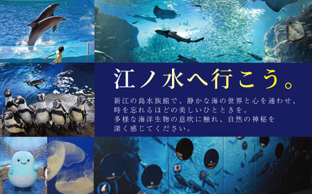 新江ノ島水族館 前売入場券 大人2枚 水族館チケット水族館観光