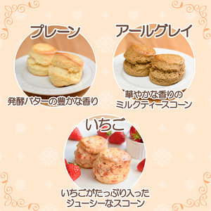 〈スコーン〉12個 6種×2個【焼き菓子】