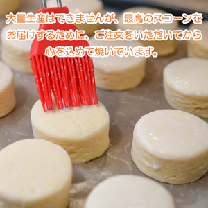 〈スコーン〉12個 6種×2個【焼き菓子】