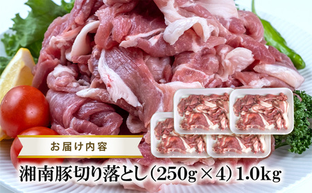 【6ヵ月定期便】湘南豚 切り落し 1.0kg 小分け 250g × 4P 6か月 冷凍 豚【神奈川 藤沢】