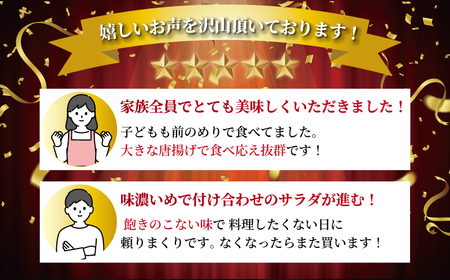 からあげ 鶏もも 750g | 【簡単調理 からあげ】