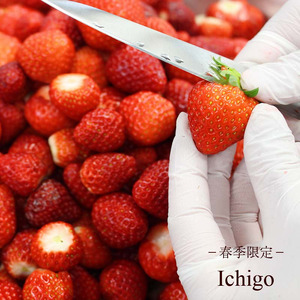 【アイス】 季節おすすめ アイスクリーム 130ml 6個