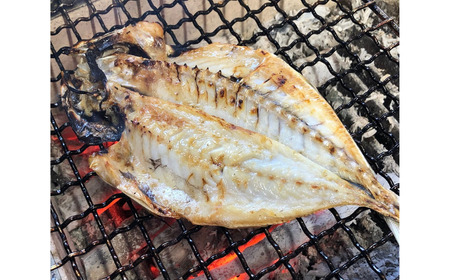 冷凍 焼いてあるひもの 干物 4種 セット  /  ひもの