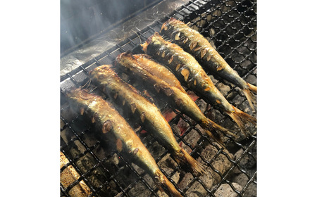 冷凍 焼いてあるひもの 干物 4種 セット  /  ひもの